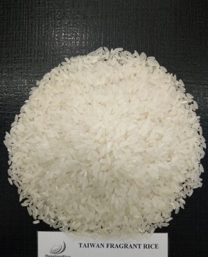 GAO DAI LOAN.