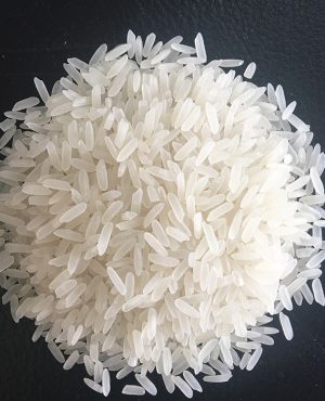 GAO-JASMINE