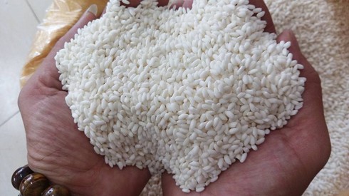 LA Group chuyên cung cấp nếp An Giang chất lượng